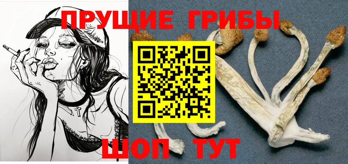 Галлюциногенные грибы Cubensis Копейск